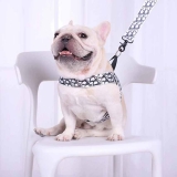 犬用品 ディオール ペットの首輪 リード ハーネス DIOR ペット牽引縄 胴輪 大型犬 小型犬 牽引ロープ オシャレ 高品質