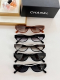高品質Chanel シャネルサングラス5色