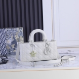 ディオール(Dior)【限定】レディースハンドバッグ