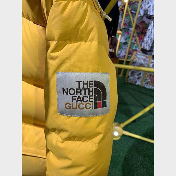 THE ノースフェイス × グッチ DOWN JACKET ダウンコート2色