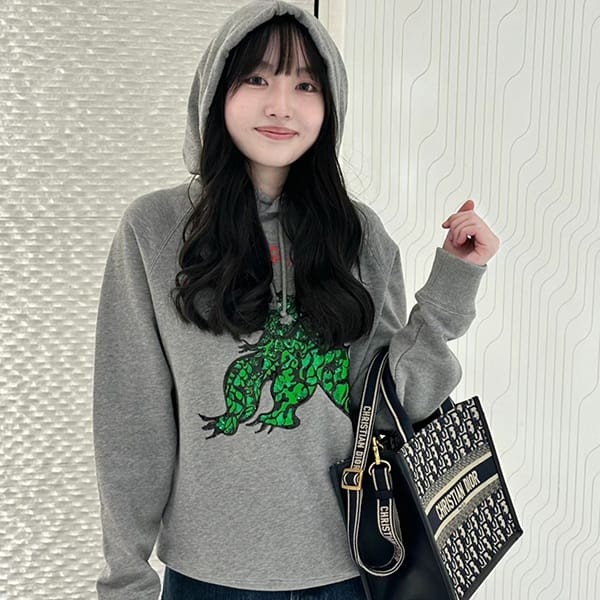 ディオール ドラゴン スウェット 刺繍入りパーカー コピー 413S03A4112_X8860