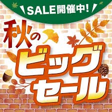 [2024]22COPY.COMスーパーコピー優良サイト秋セール始まります!