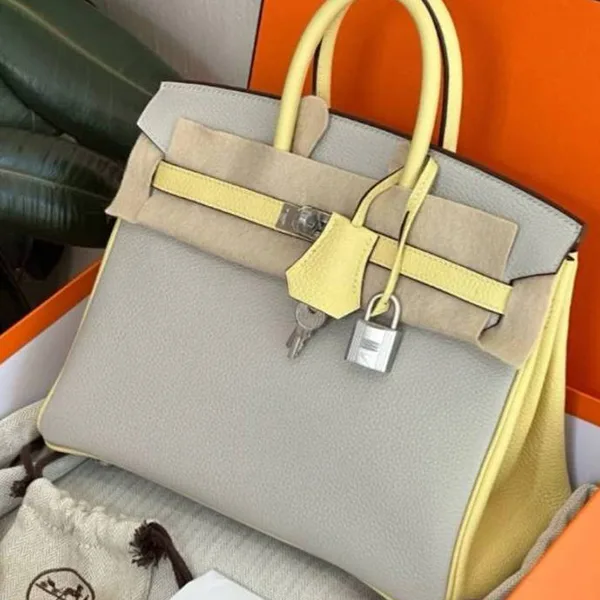 追跡付エルメス バーキン 25【Gris Perle & Jaune Poussin × S金具】h2571611